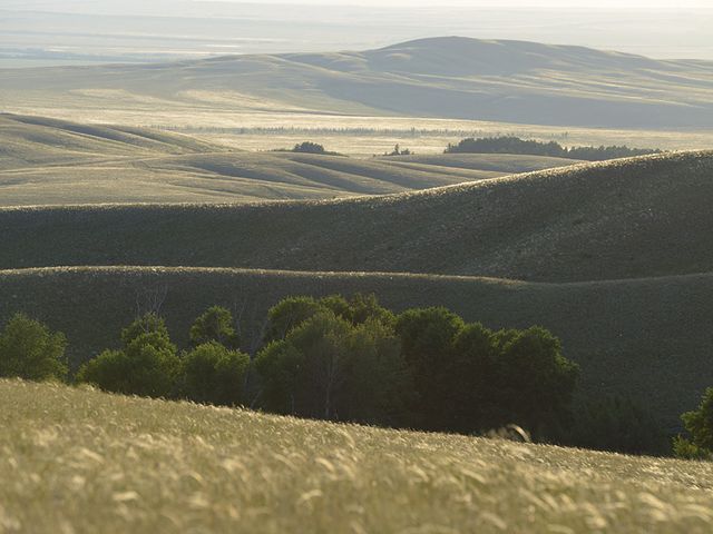 Orenburg Nature Reserve