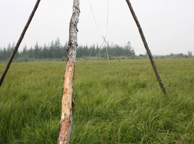 Pleistocene Park