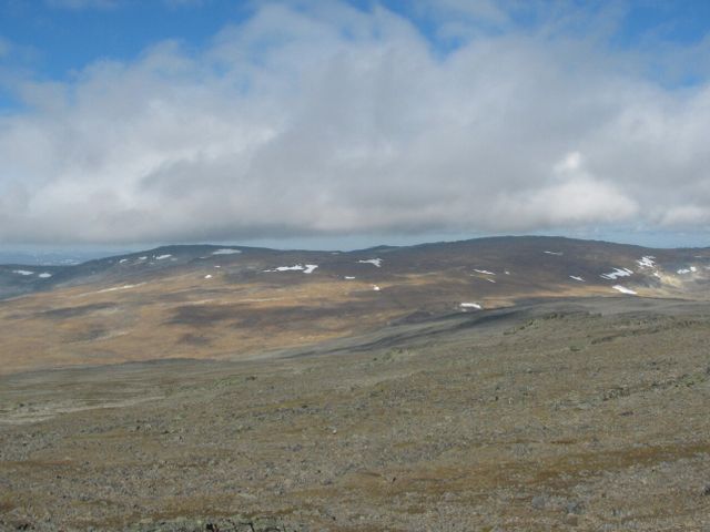 Halti