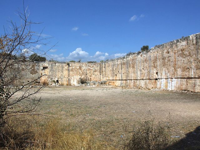 Corycus