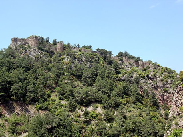 Servantikar