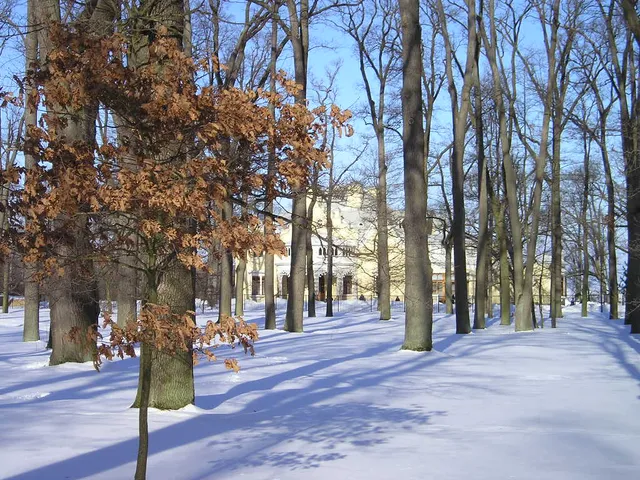 Alexandria Park
