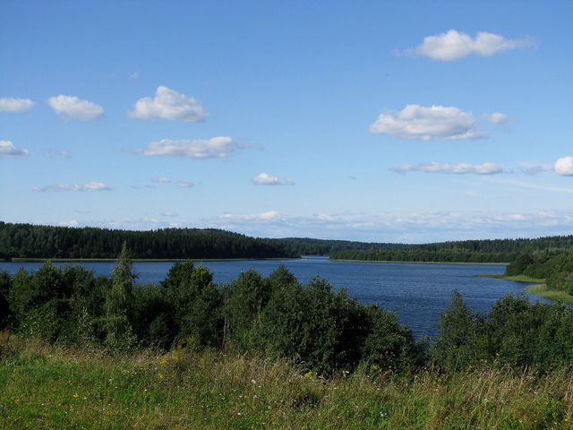 Kryvoje