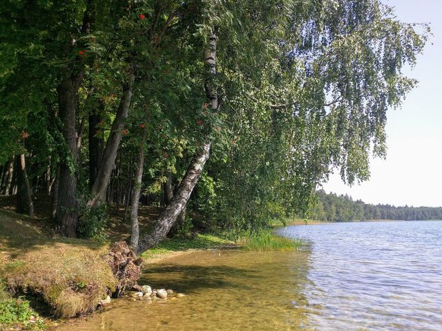 Sviciaź Lake