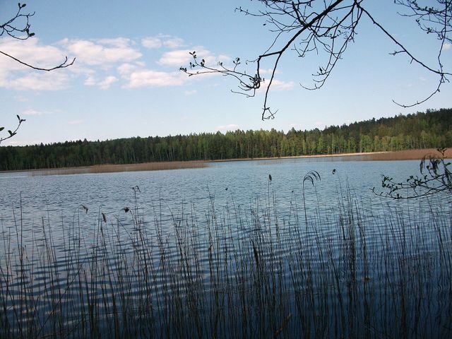 Hlublia
