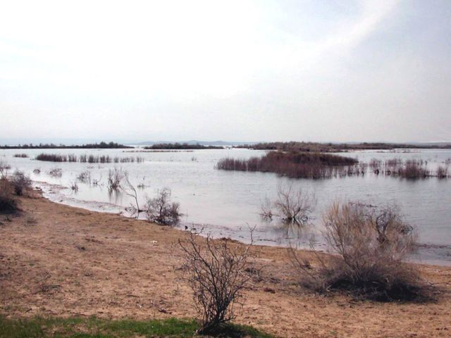 Aydar Lake