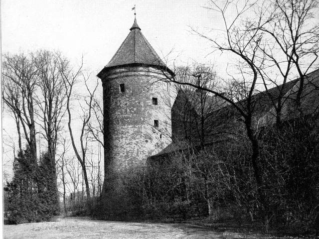 Insterburg Castle