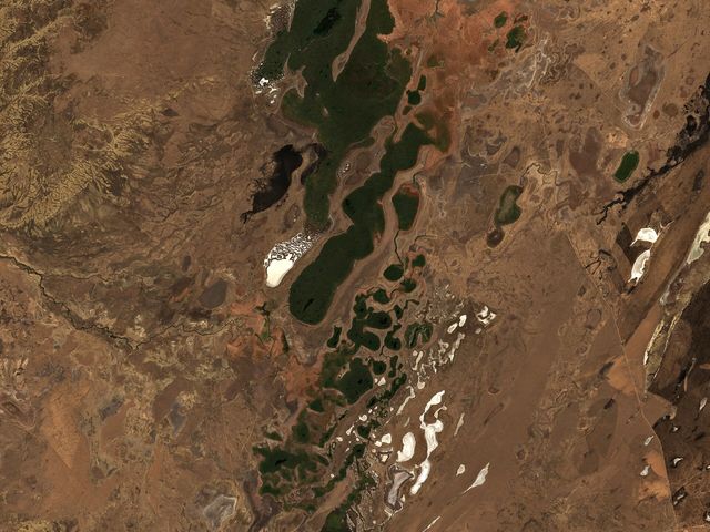 Sarykopa