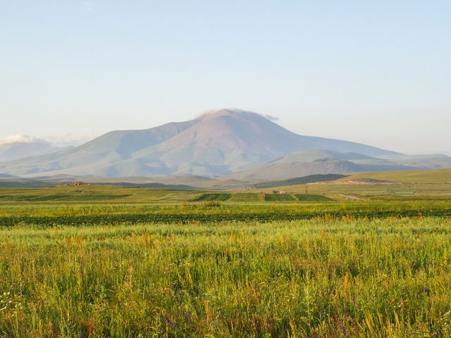 Didi Abuli