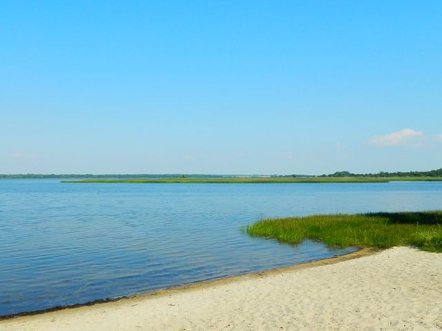 Sialiava