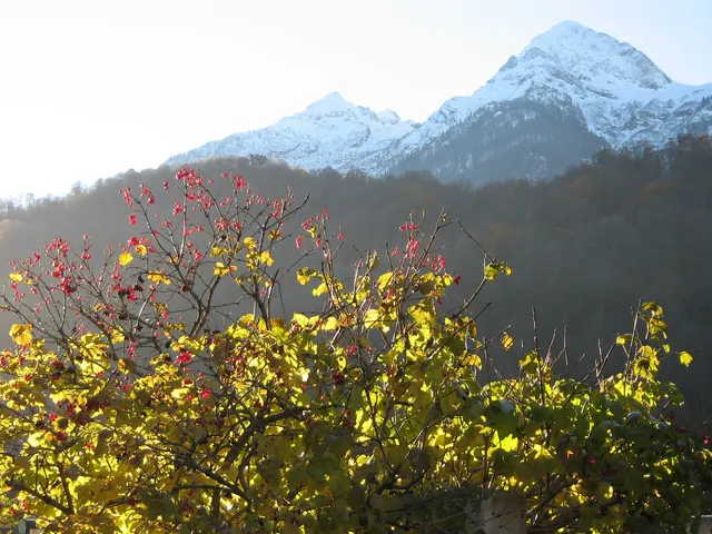 Aibiga Ridge