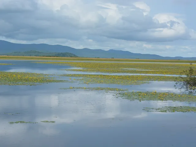 Bolon Nature Reserve