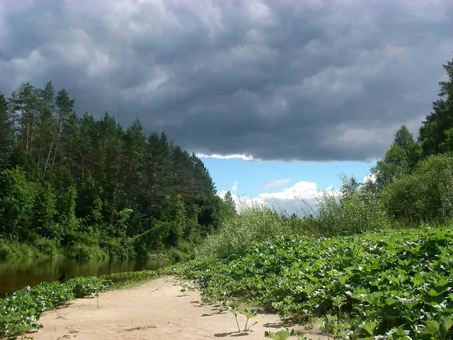 Bolshaya Kokshaga