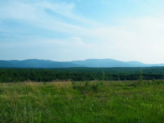 Bolshekhekhtsirsky Nature Reserve
