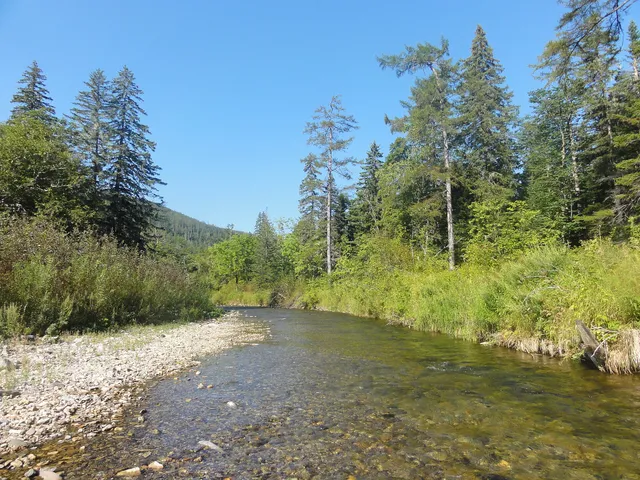 Botcha Nature Reserve