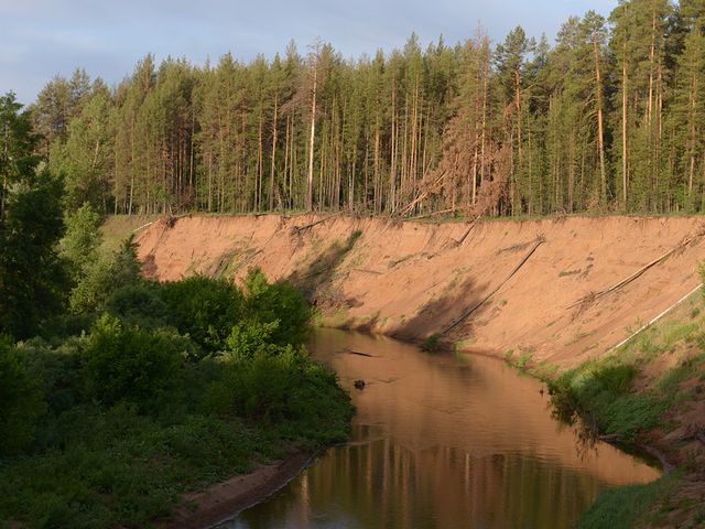 Buzuluksky Bor National Park