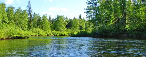 Upper Taz Nature Reserve
