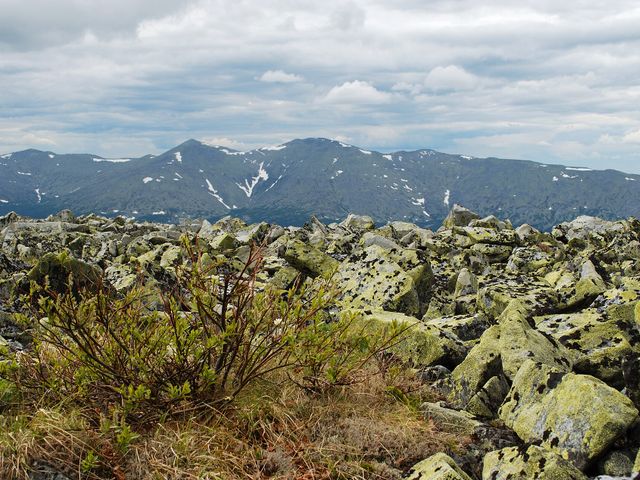 Vishera Nature Reserve