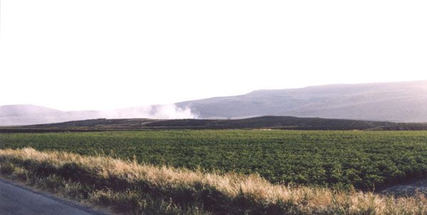 Domuztepe