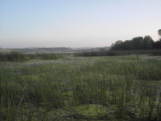 Lake Durusu