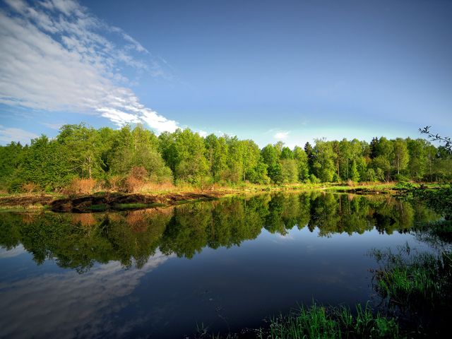 Zavidovo National Park