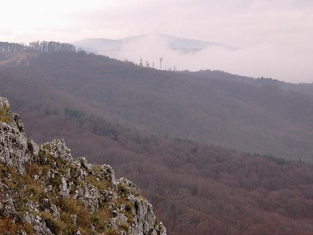 Zeya Nature Reserve