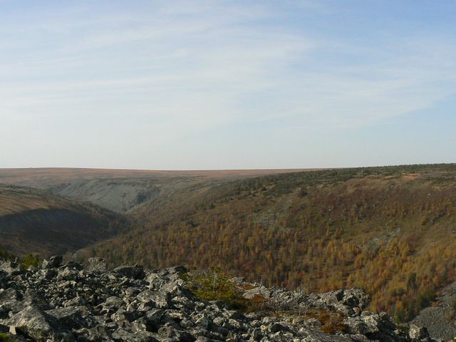 Kvarkush