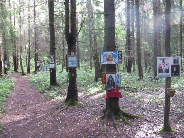 Kovalevsky Forest