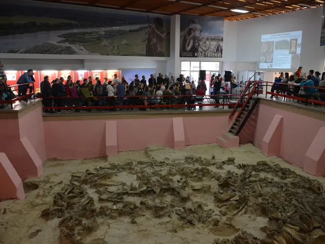 Kostyonki–Borshchyovo archaeological complex