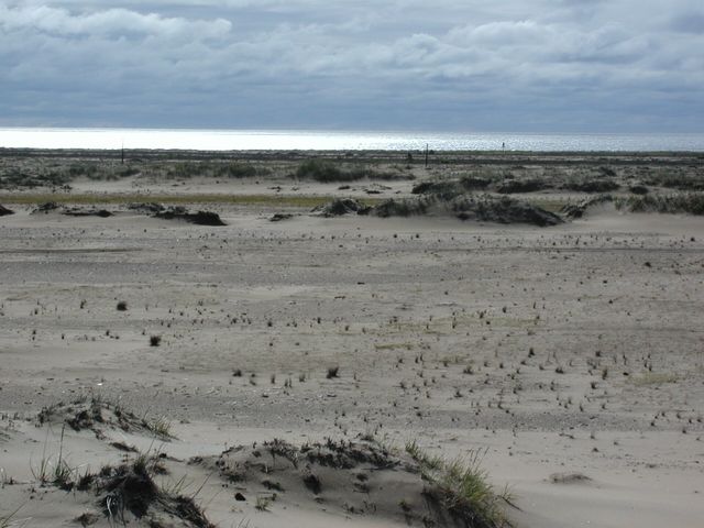 Kuzomen Dunes