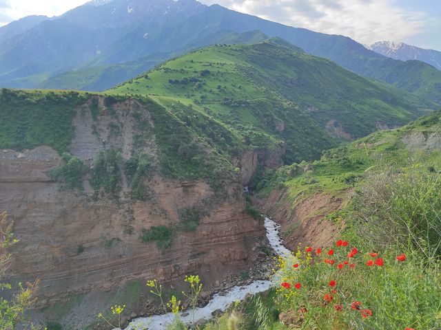 Kulunata State Nature Reserve