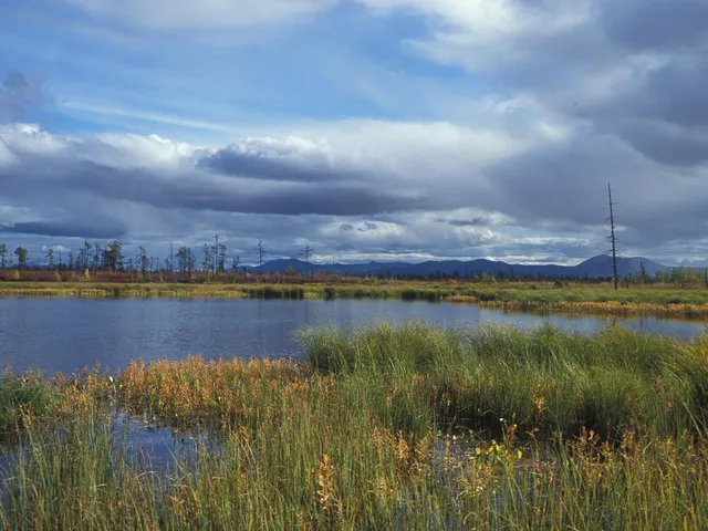 Magadan Nature Reserve
