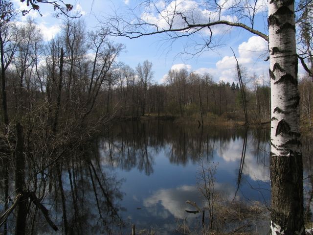 Meshchyora National Park