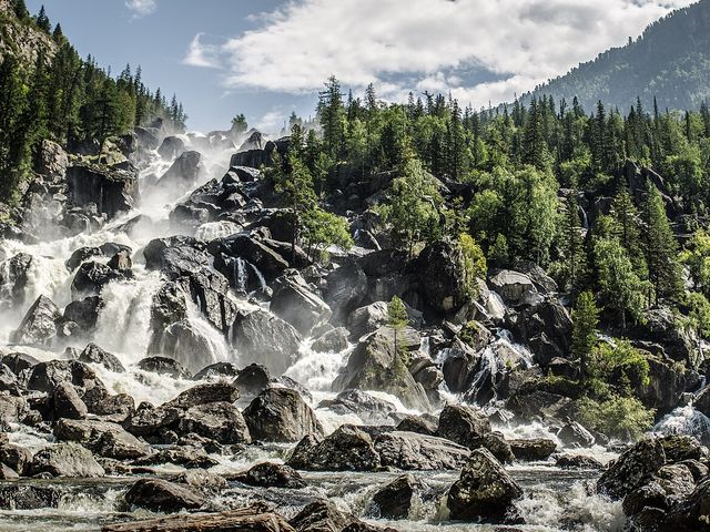 Altai Nature Reserve