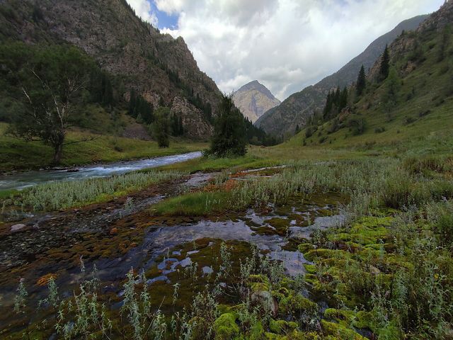 Padyshata State Nature Reserve