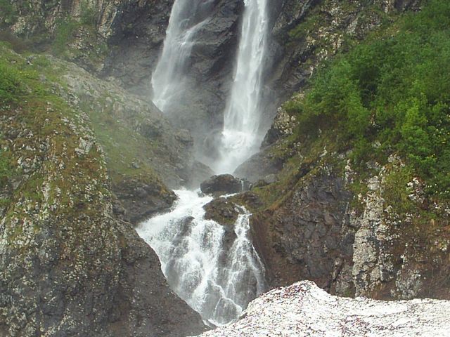 Polikarya