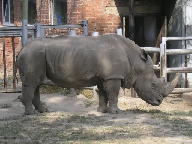 Rostov Zoo
