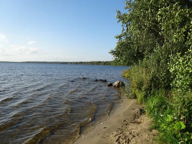 Rubskoe
