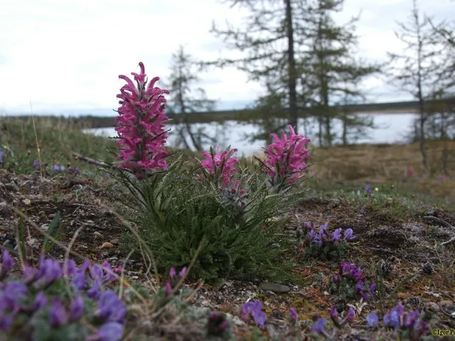 Taymyr Nature Reserve