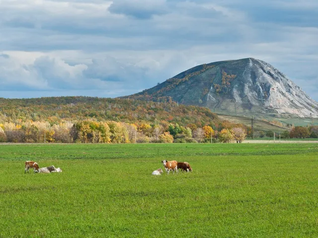Trataw mountain
