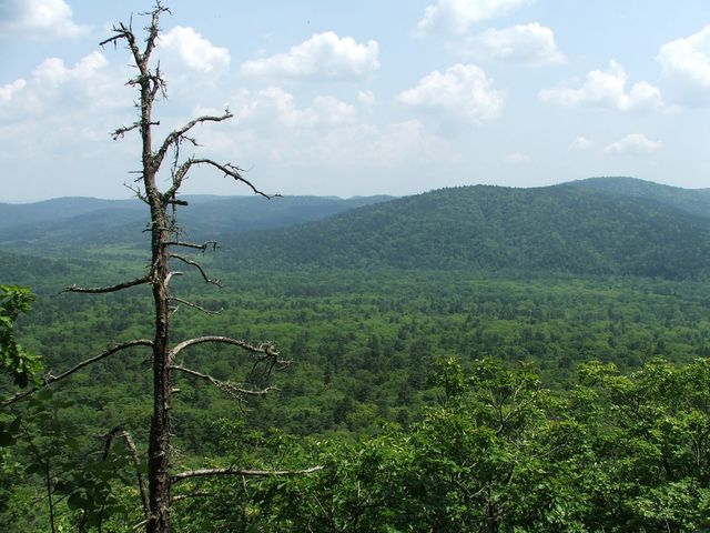 Ussurisky Nature Reserve