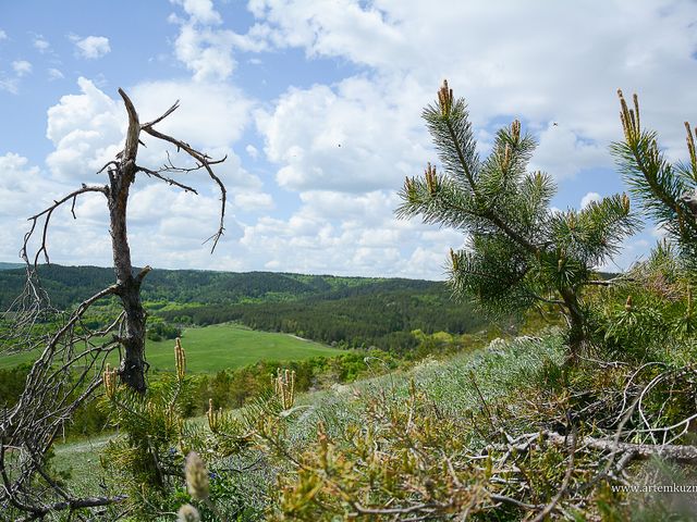 Khvalynsky National Park