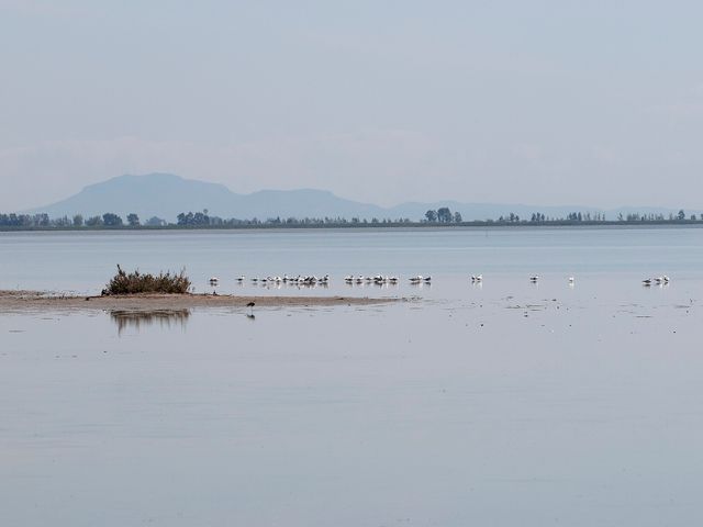 Akyatan Lagoon