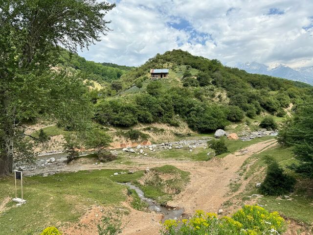 Dashman Nature Reserve