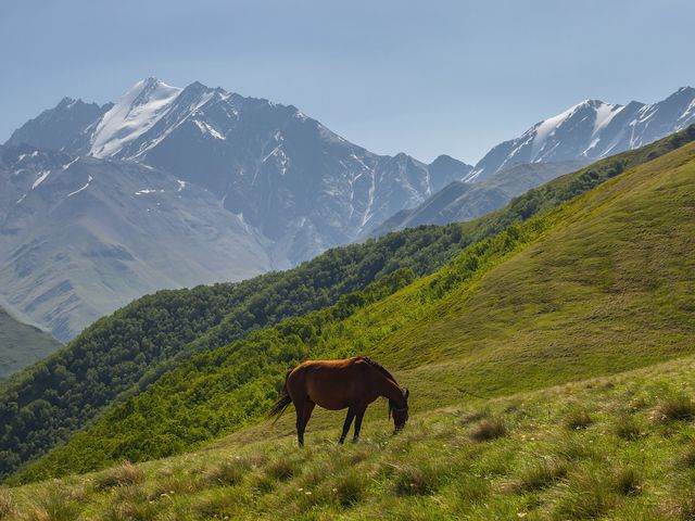 Pshav-Khevsureti National Park