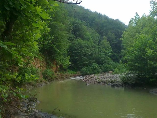 Küre Mountains National Park
