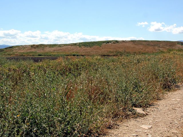 Oluz Höyük