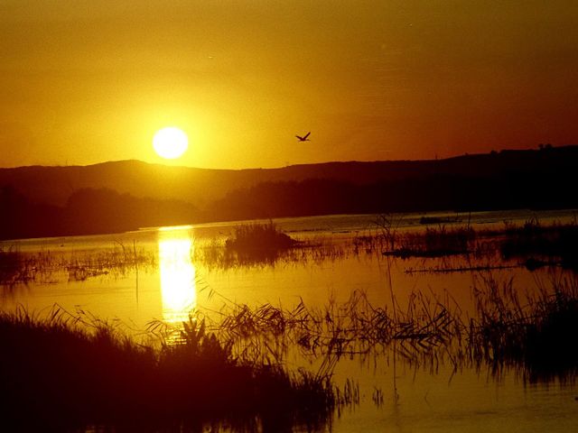 Ladik Lake