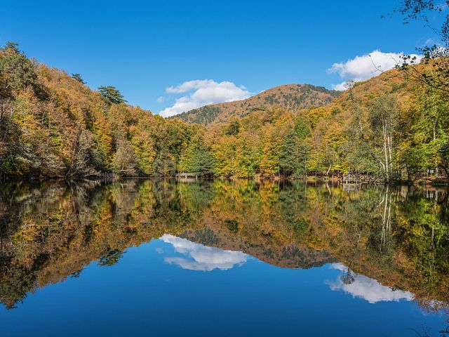 Yedigöller National Park