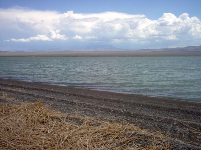 Lake Zhalanashkol